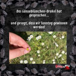 Wir gewinnen, wir gewinnen nicht, wir gewinnen…